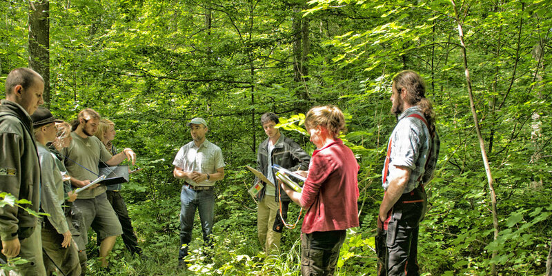 Professor mit Studierenden bei einer praktischen Waldbauübung im Lehrwald der Hochschule Rottenburg