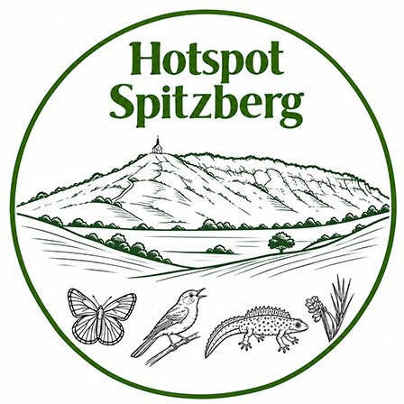 Logo: Hotspot Spitzberg