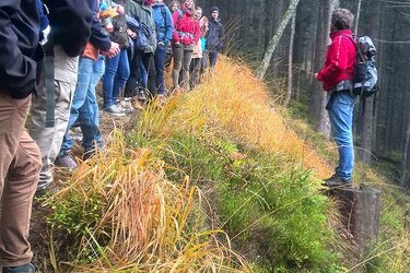 Studierende hören dem Referenten im Wald zu