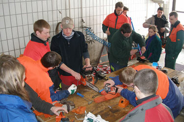 Studierende beim Reparieren und Pflegen der Motorsägen in der Werkstatt