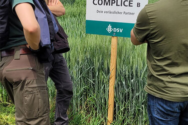 Studierende begutachten Pflanzen auf einem landwirtschaftlichen Versuchsfeld