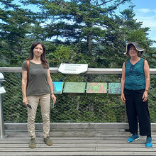 Dr. Tímea Kollarics und Prof. Dr. Heidi Elisabeth Megerle auf dem Baumwipfelpfad in Bad Wildbad