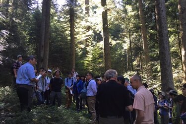 Plenterwaldbewirtschaftung bei der WBV Westallgäu /Scheidegg