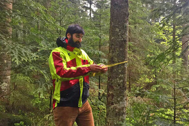 Student markiert einen Baum mit einem gelben Band