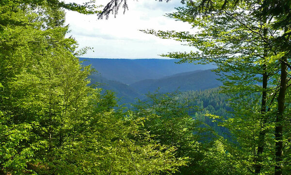 Blick auf bewaldete Hügel und Täler