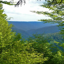 Blick auf bewaldete Hügel und Täler