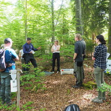 Prof. Schäffer steht mit Studierenden im Wald