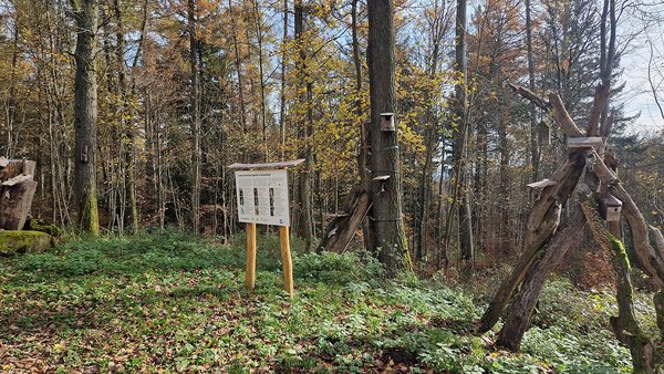 Blick auf eine Infotafel und Niskästen im Heilwald in Heidelberg