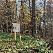 Blick auf eine Infotafel und Niskästen im Heilwald in Heidelberg