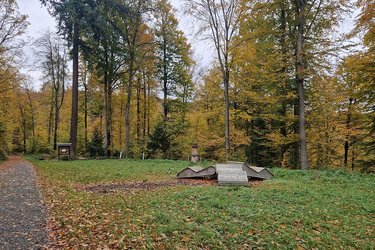 Blick auf Liegebänke auf einer Lichtung im Heilwald in Heidelberg