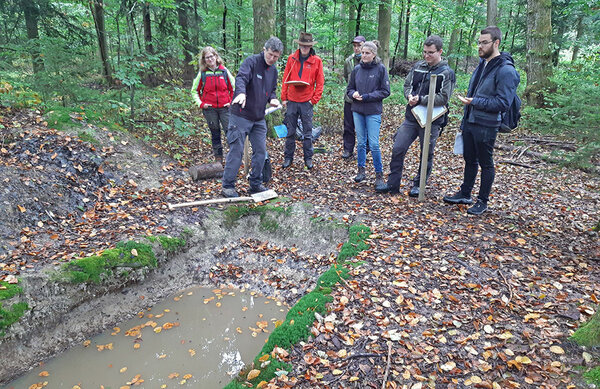 Studierende und Dozenten stehen vor einem Bodenprofil im Wald