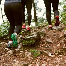 Drei Wanderinnen von hinten auf einem schmalen Pfad im Wald