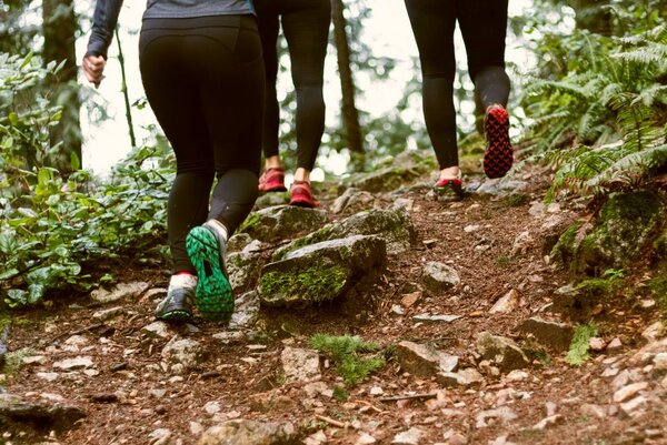 Drei Wanderinnen von hinten auf einem schmalen Pfad im Wald