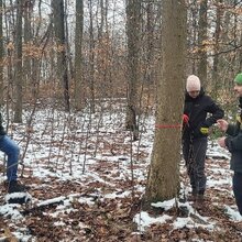 Studierende und Referenten stehen um einen Baum und diskutieren