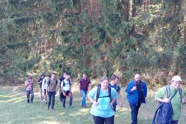 Studierende wandern einen Waldrand entlang