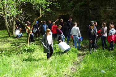 Eine große Gruppe Studierende auf einer Wiese.