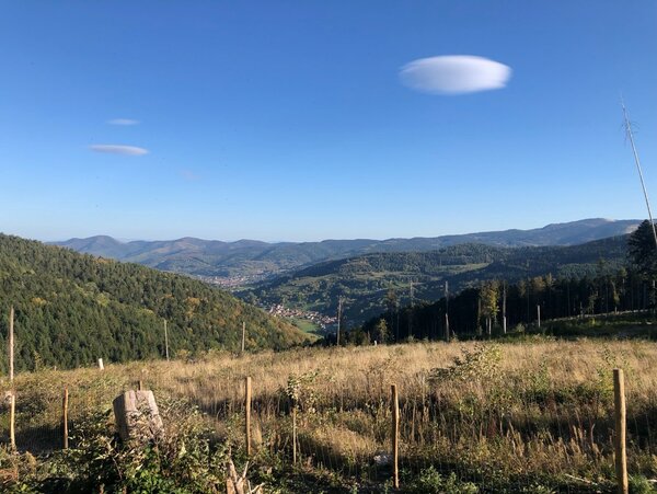 Traumhaftes Wetter und ein toller Ausblick in den Vogesen