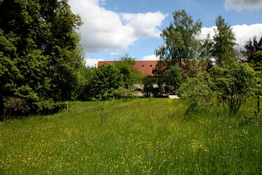 Blick auf Hecken und Bäume im Arboretum. Im Hintergrund das Hauptgebäude der Hochschule.