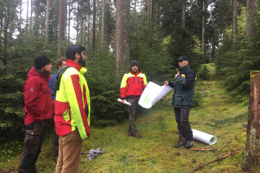 Studierende lauschen einem Förster im Wald