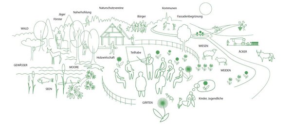 Schema der Nutzung von Wald und Weide