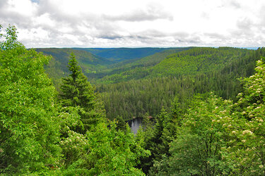 Blick vom Seekopf über den Wilden See ins Tal der Rauhen Münzach, dem Kerngebiet des Nationalparkteiles Süd