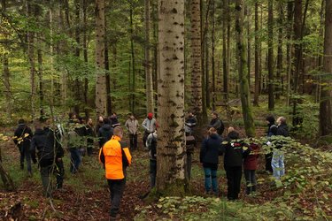 Studierende stehen im Waldbestand und hören dem Referenten zu