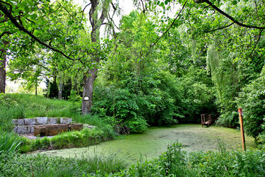 Teich im Arboretum