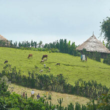 Forschungskooperation Bahir Dar Universität und der Hochschule Rottenburg