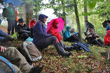 Sitzend im Wald