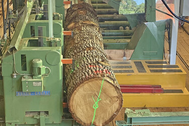Ein Stamm im Sägewerk