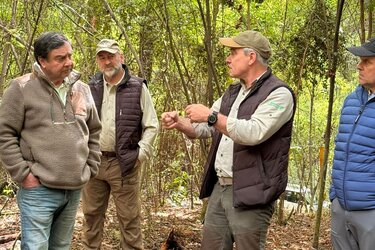 Referent und Workshop-Teilnehmer stehen im Wald
