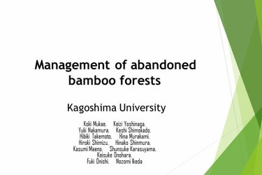 Screenshot der einer Präsentationsfolie: Management of abandoned bamboo forests