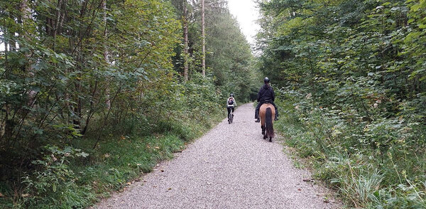 Eine Radfahrerin überholt eine Reiterin im Wald.