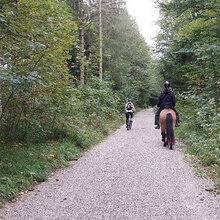 Eine Radfahrerin überholt eine Reiterin im Wald.