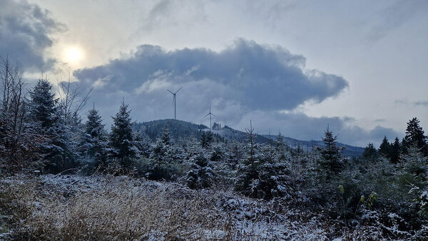 Das Exkursionsziel – die Windräder am Büchereck nahe der Prechtaler Schanze