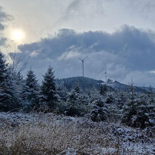 Das Exkursionsziel – die Windräder am Büchereck nahe der Prechtaler Schanze