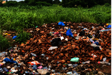 Kokusschalen auf einem Müllberg