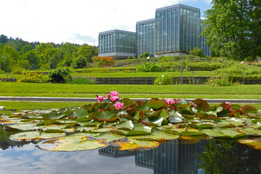 Blick auf den Teich im Botanischen Garten Tübingen