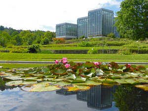 Blick auf den Teich im Botanischen Garten Tübingen