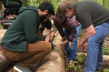 Borkenkäfer & Co – Waldschutz Vorlesung im Rammert.