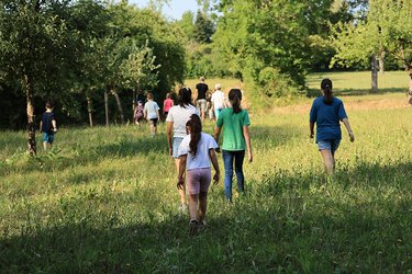 Auf dem Weg zum Bach über eine Wiese