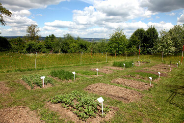Blick über den landwirtschaftlichen Lehrgarten