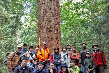 Gruppenfoto vor einem dicken Mammutbaum
