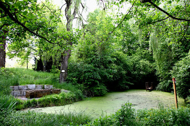 Blick aud den Teich im Arboretum