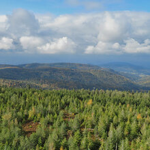 Blick über den Schwarzwald