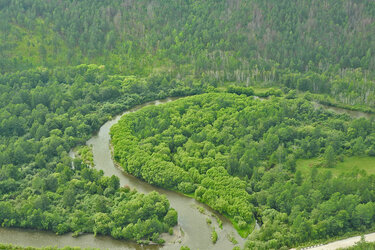 Blick von oben auf einen Fluss im Wald