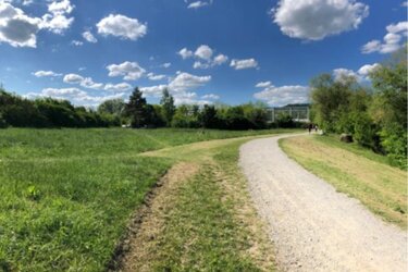 Heutige Situation am Westufer des Baggersees Hirschau - Weg mit bewachsener Böschung