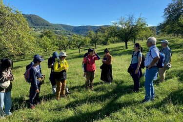 Eine Personengruppe steht auf einer grünen Wiese