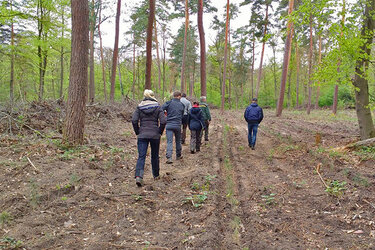 Studierende laufen durch den Wald