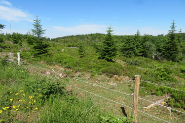 Blick auf eine Grindenhochfläche